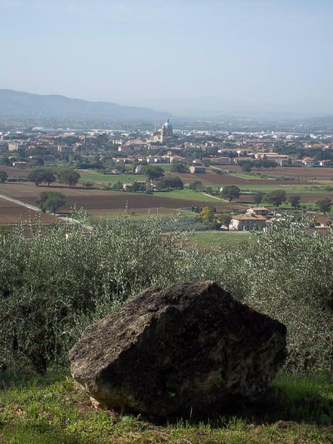 Casa Per Ferie Ulivo D'assisi Alloggio per agriturismo